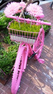 Foto: Hannah Böhnisch